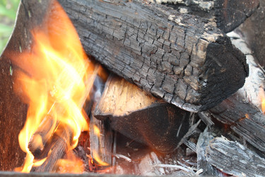 Similar image 21469806