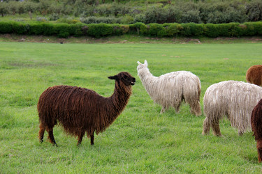 Similar image 21462992