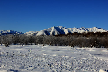 Similar image 21463048