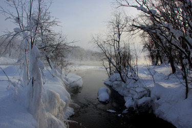 Similar image 21478587