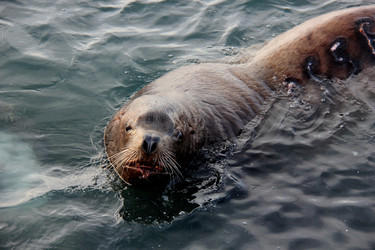 Similar image 21480238