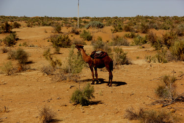 Similar image 21478588