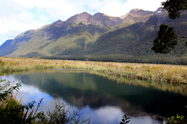 Similar image 21435853