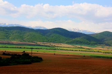 Similar image 21435856