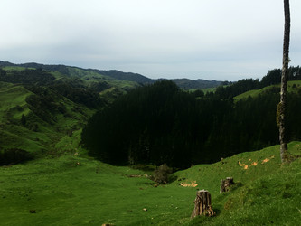 Similar image 21436381