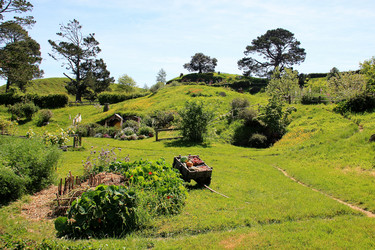 Similar image 21436385