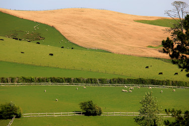 Similar image 21436579