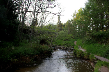 Similar image 21436583