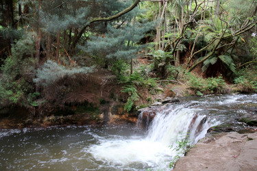 Similar image 21436584