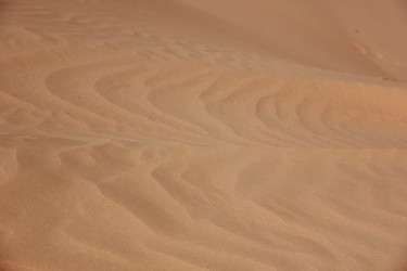 Similar image 21459008