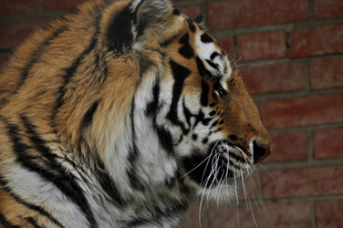 Similar image 21478614