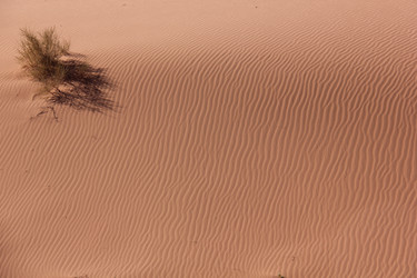 Similar image 21478616