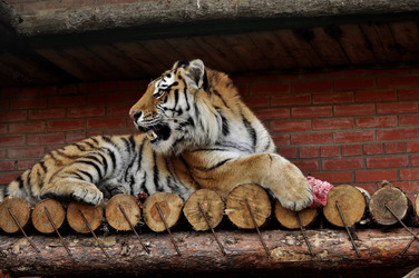 Similar image 21478617