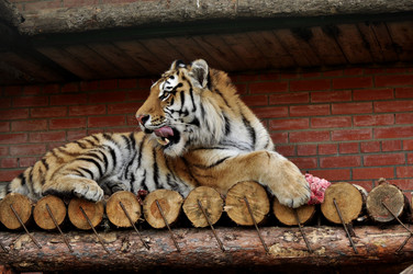 Similar image 21478620