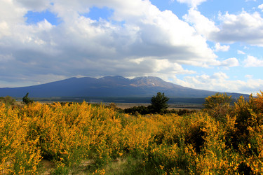 Similar image 21478621