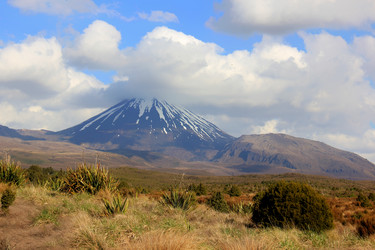 Similar image 21478622