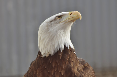 Similar image 21478623