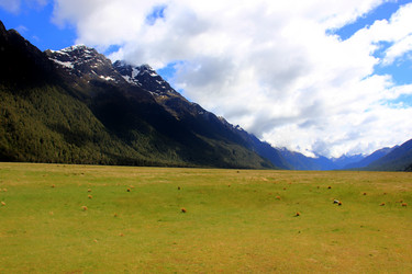 Similar image 21478626