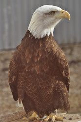 Similar image 21480688