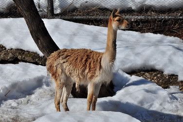 Similar image 21480689