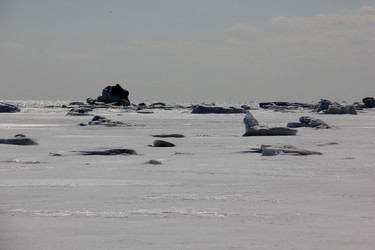 Similar image 21436587