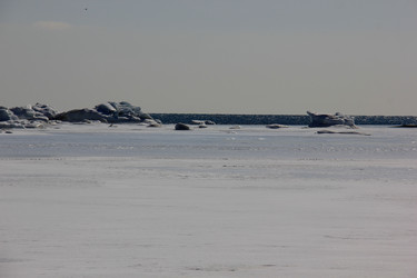 Similar image 21436588