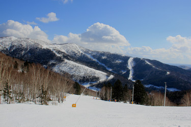 Similar image 21478654