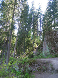 Similar image 21478655