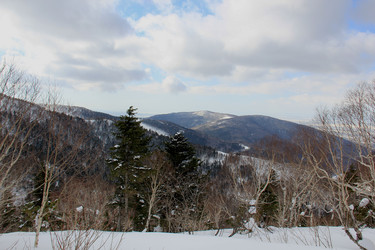 Similar image 21435860