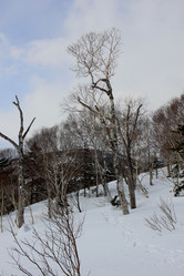 Similar image 21436391