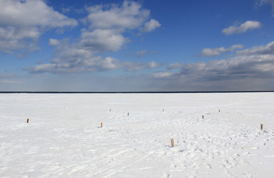 Similar image 21436393