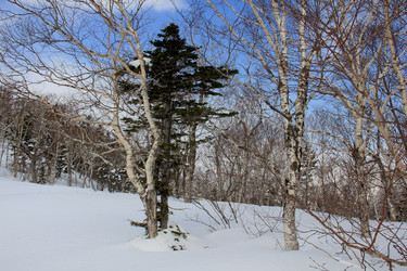 Similar image 21436395