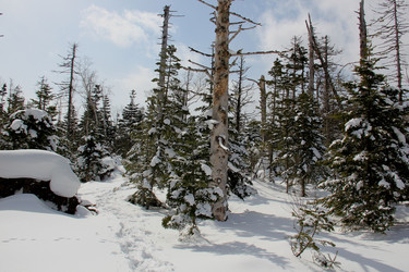 Similar image 21436397