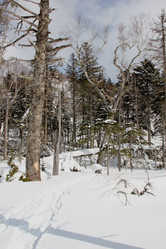 Similar image 21436592