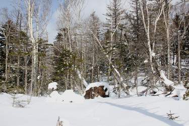 Similar image 21436593