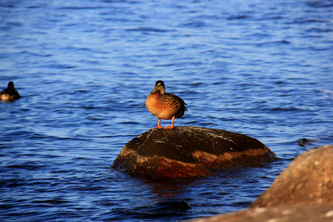 Similar image 21435912