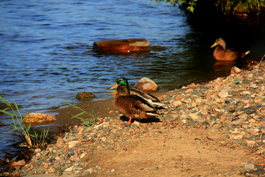 Similar image 21436398