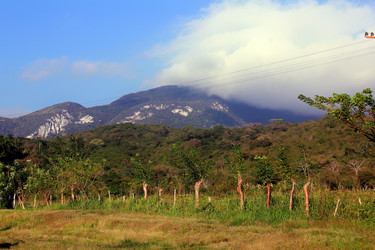 Similar image 21436598