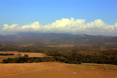 Similar image 21478674