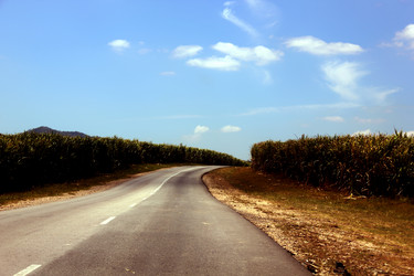 Similar image 21478685