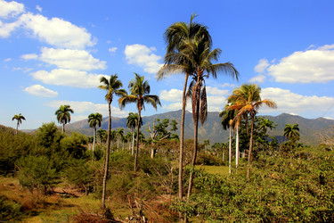 Similar image 21478687