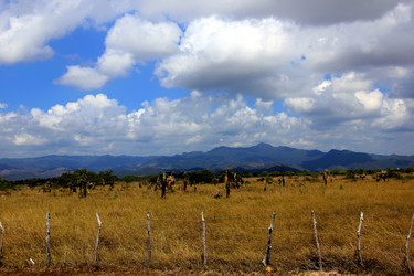 Similar image 21478689