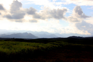 Similar image 21478695