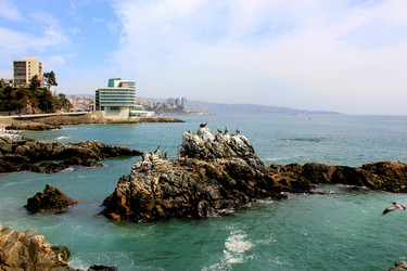 Similar image 21433503