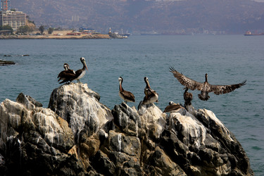 Similar image 21435866