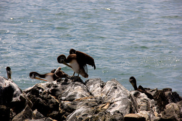 Similar image 21436405