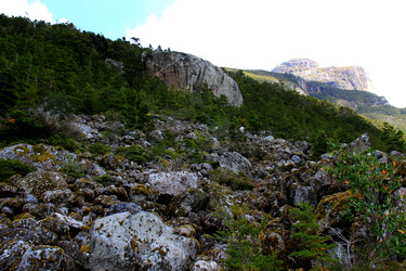 Similar image 21436612