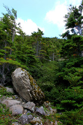 Similar image 21436614