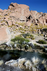 Similar image 21433506