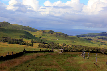 Similar image 21436416